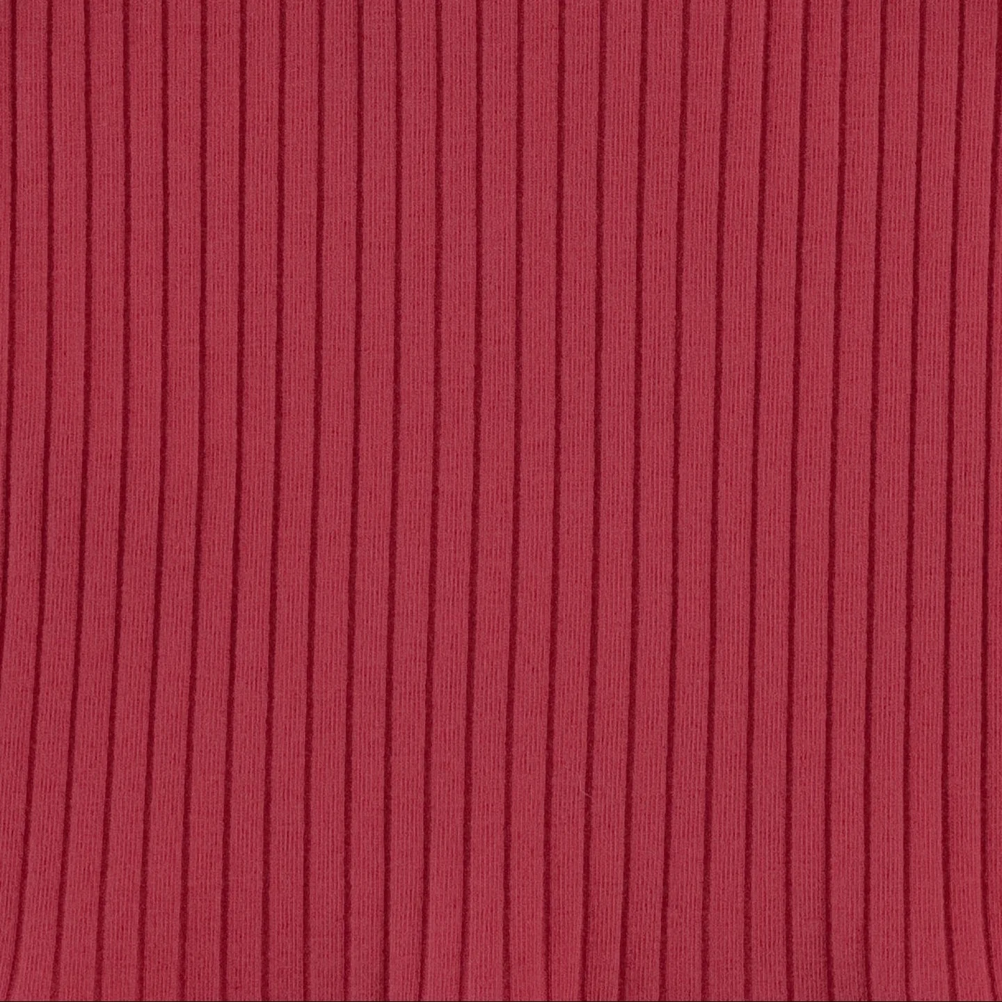 cuffed pocket short | savvy red | organic cotton wide rib - Image 2