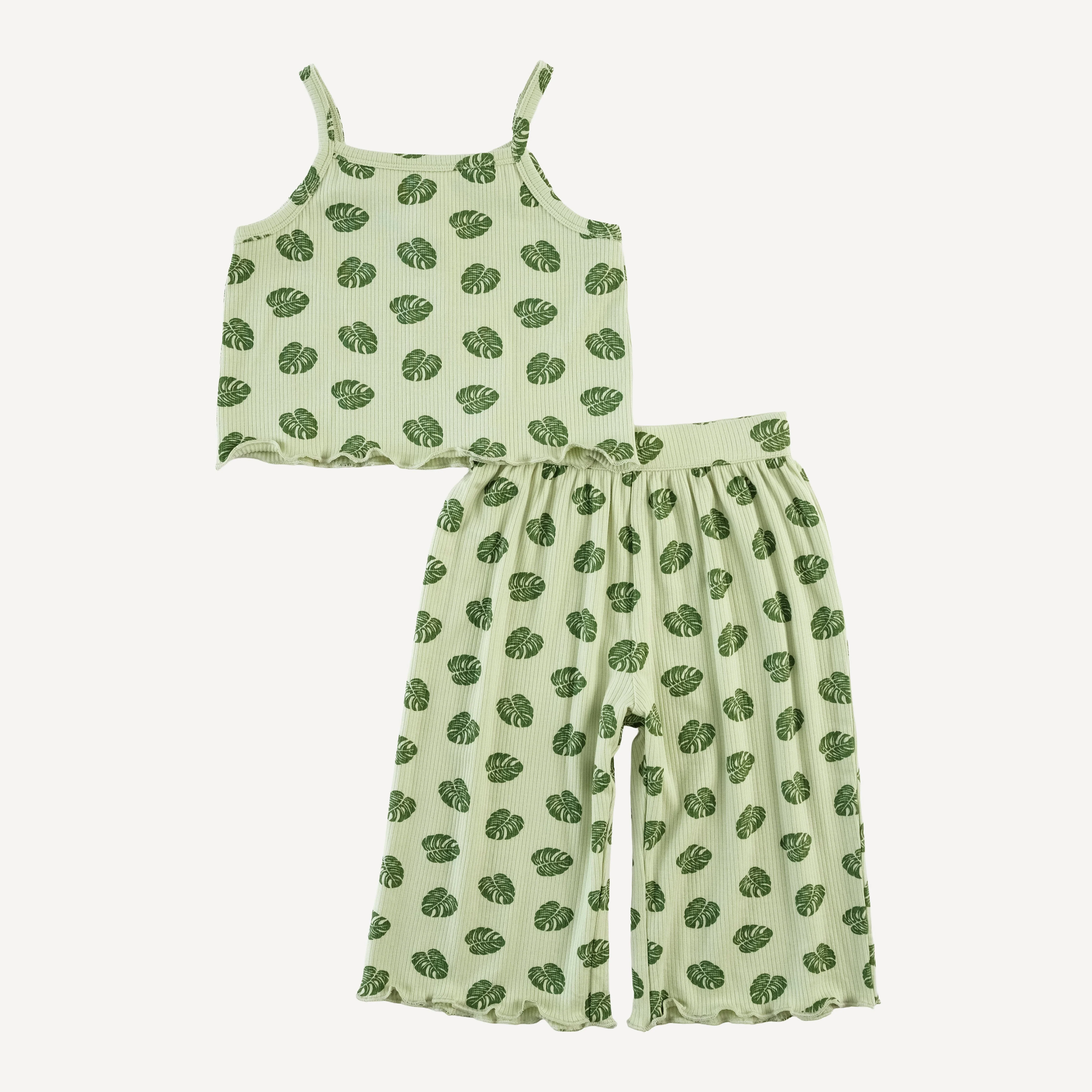 jade set | tiny monstera | modal skinny rib