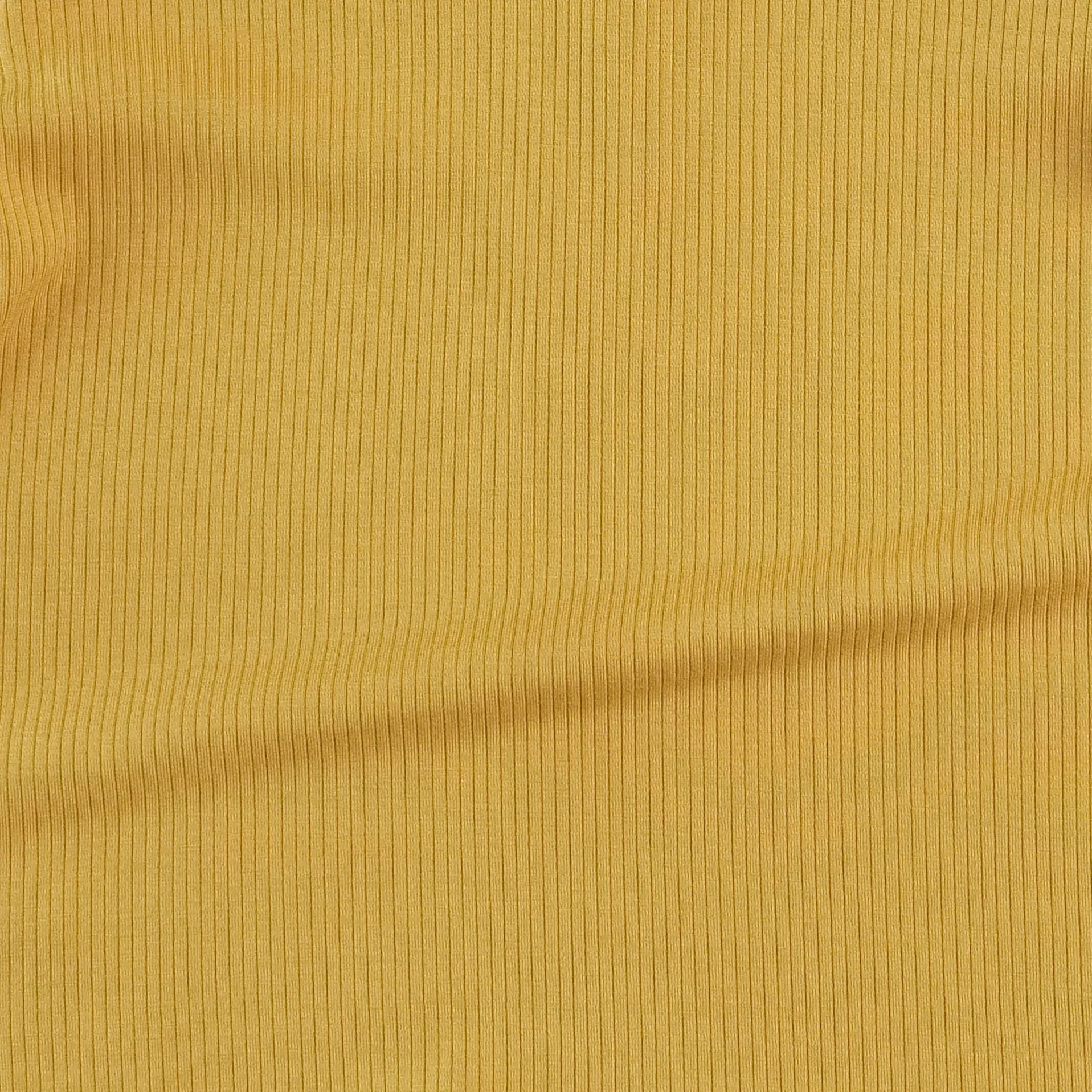 short sleeve essential boxy tee | golden sun | modal skinny rib - Image 2