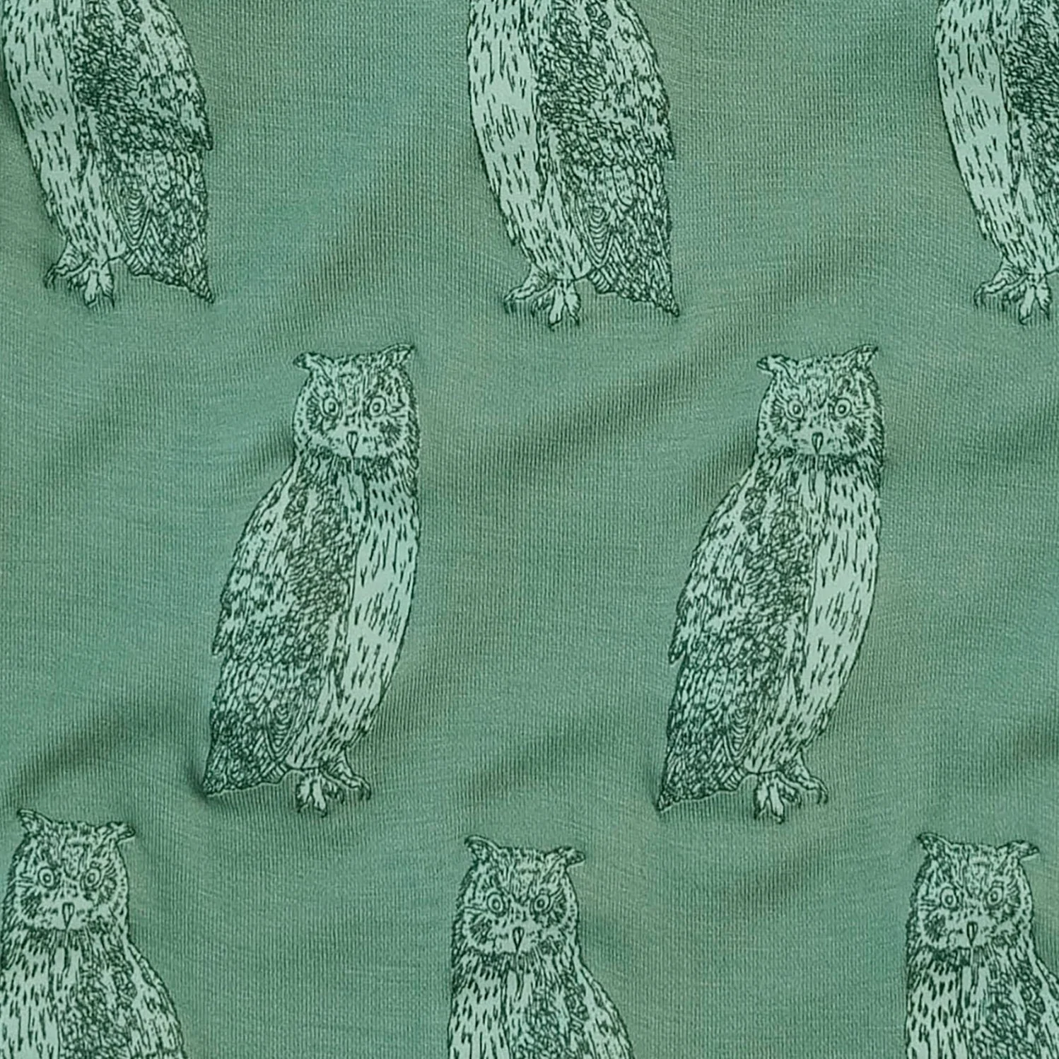short sleeve lap neck bodysuit | green owl | bamboo - Image 2