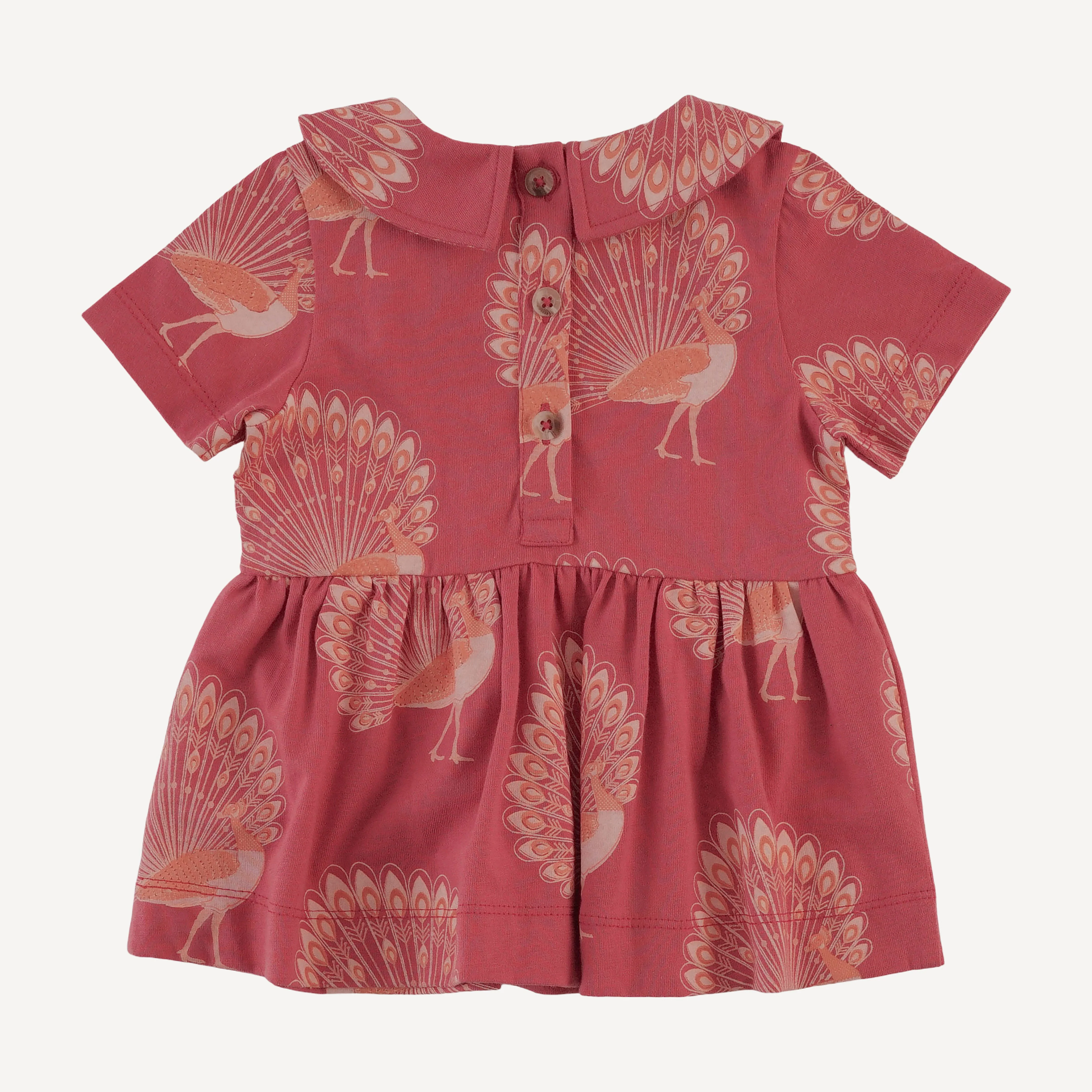 short sleeve payton set | orange peacock | organic cotton jersey - Image 4