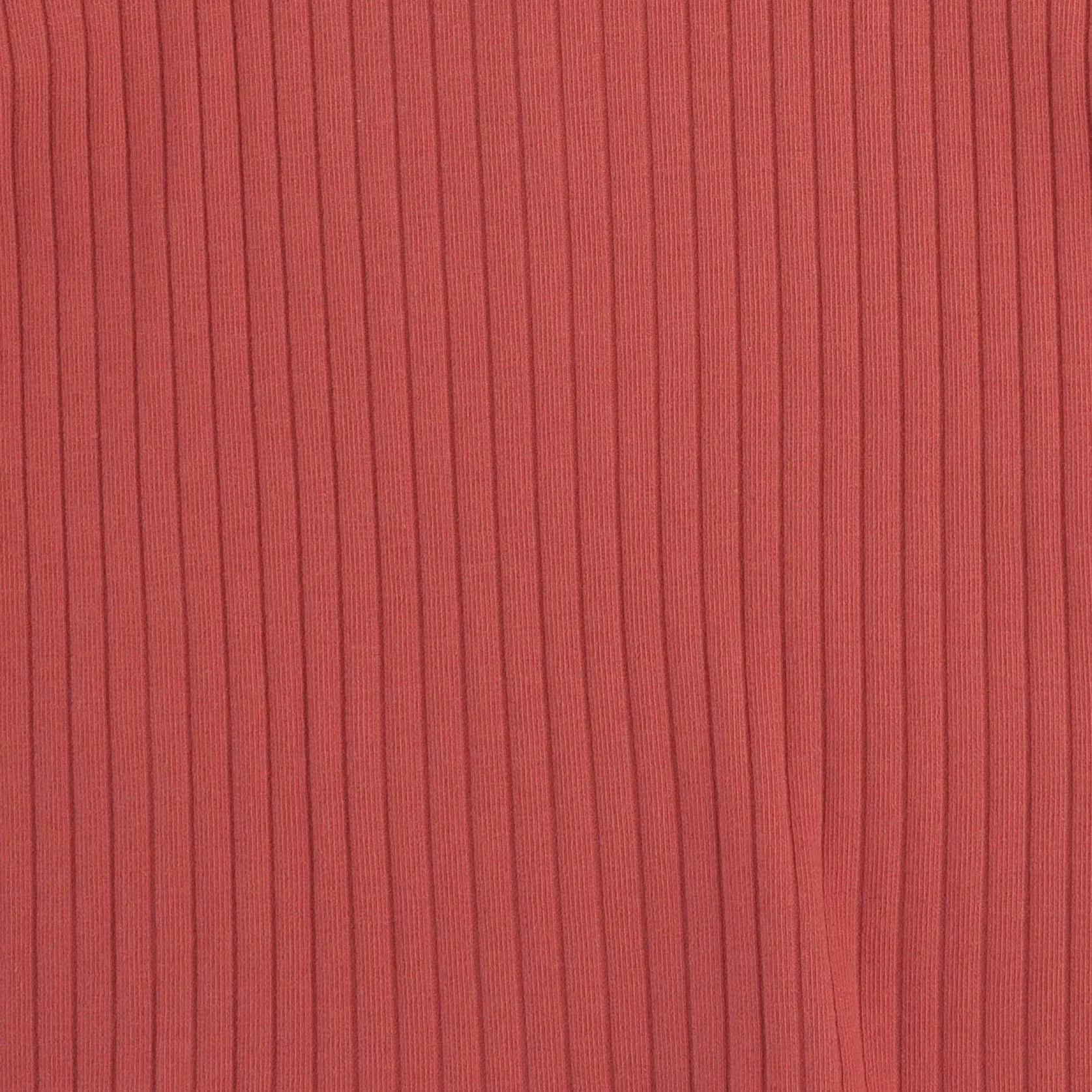 skinny cargo pant | earthen red | organic cotton wide rib - Image 2