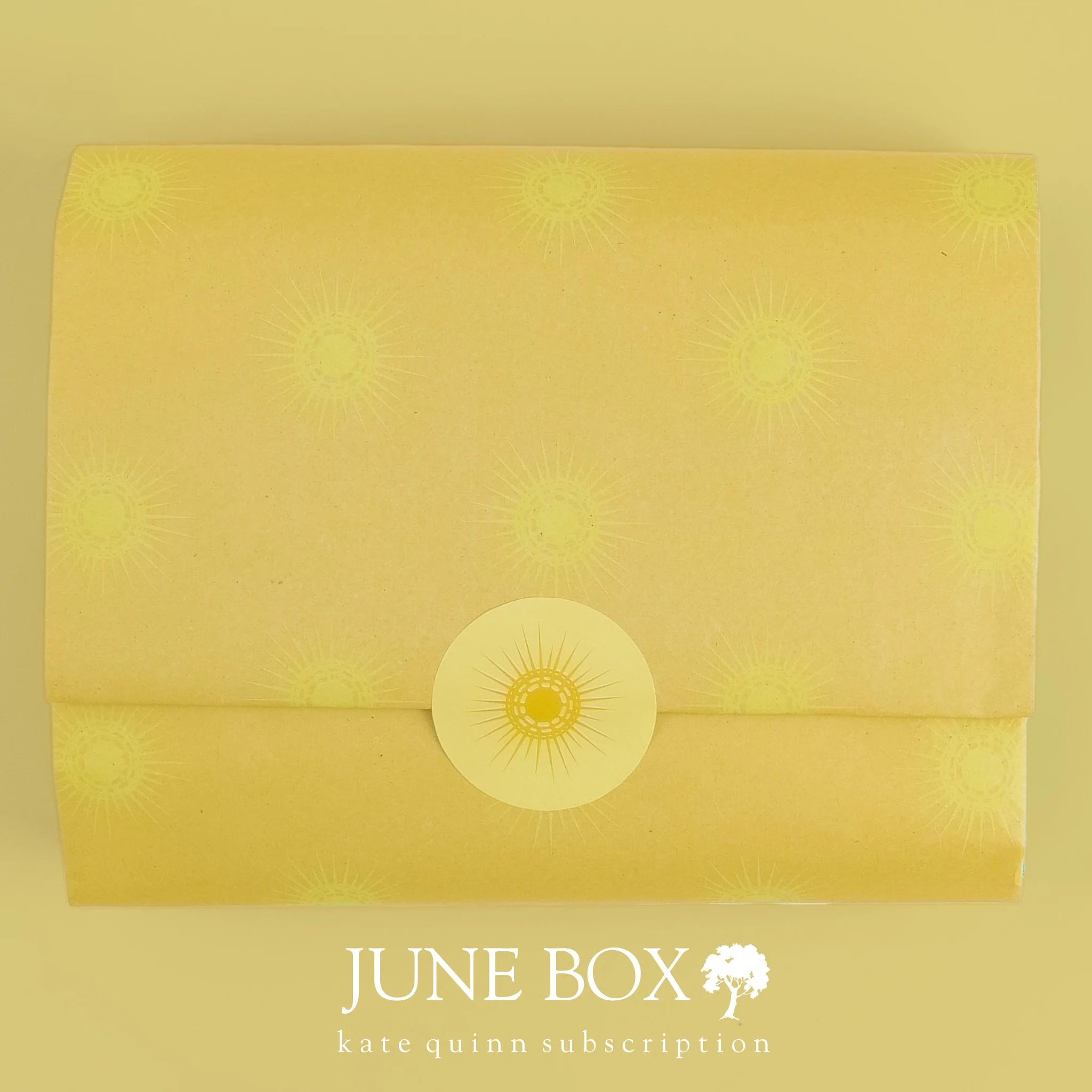 Surprise Box (Monthly) - Image 40